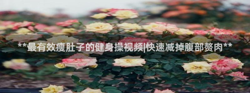 龙8游戏平台官方网站是多少