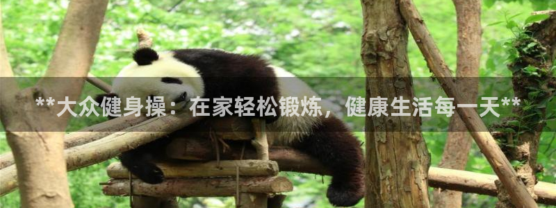 龙8国际头号玩家下载