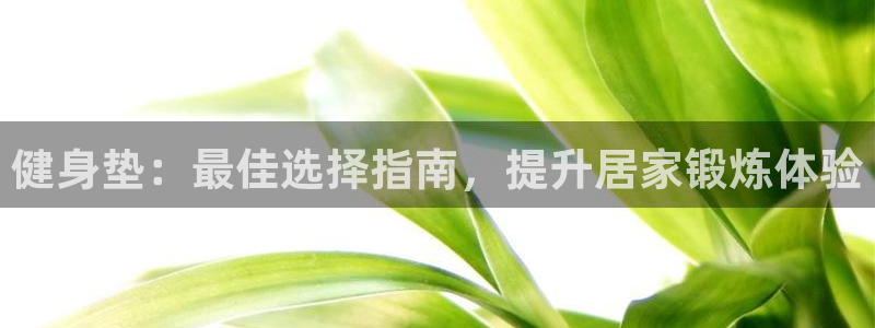 龙八国际娱乐在线游戏