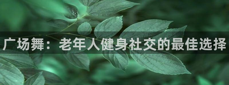龙8国际app 下载