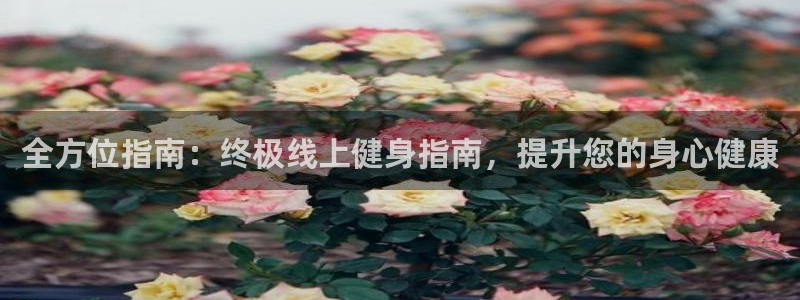 龙8国际官网进入