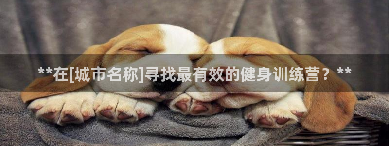 龙8游戏官方网站q