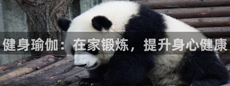 龙8国际平台提款被黑