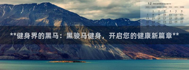龙8游戏平台的网站