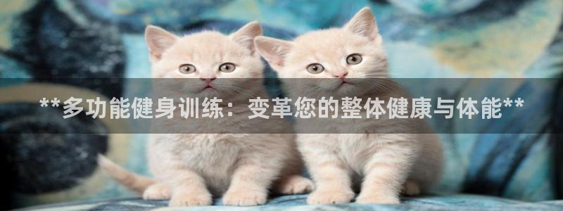 龙8全新客户端安卓版
