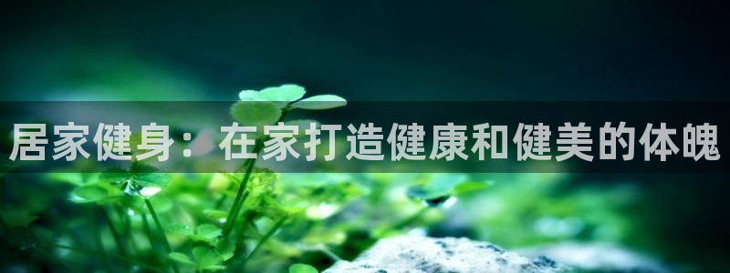 龙八国际2018最新官网