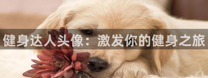 龙8国际官网官方版fxzls天地手游 -kc -安卓