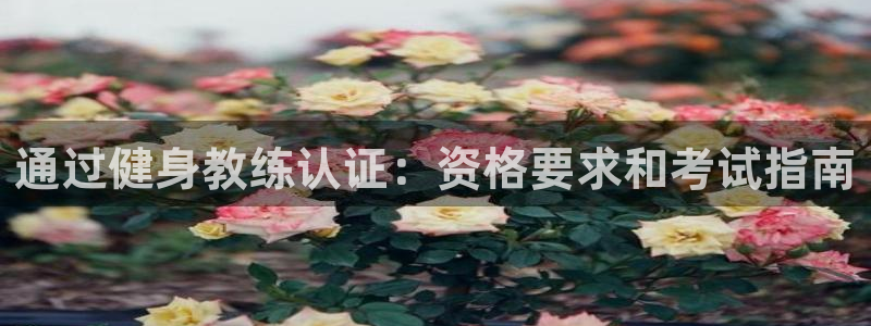 龙八国际pt