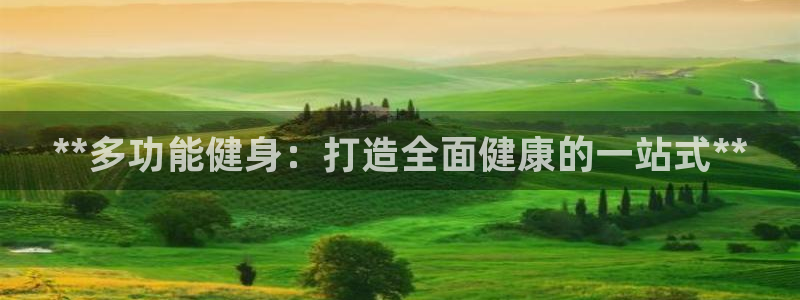 龙8官网国际