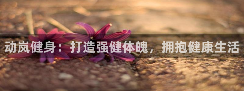 龙8国际龙8客户端