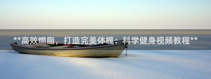 龙8国际com