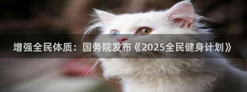 龙8国际是不是黑网