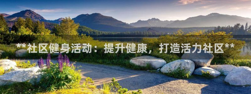 龙8国际游资如何
