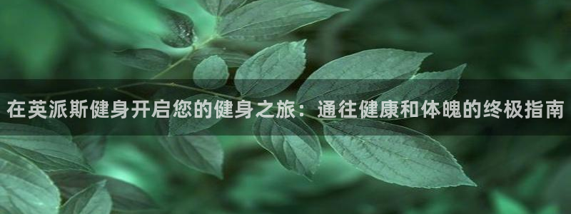 龙8国际在线