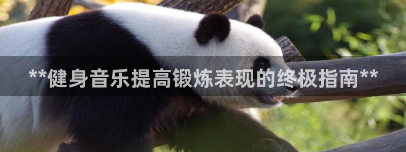 龙8国际ing