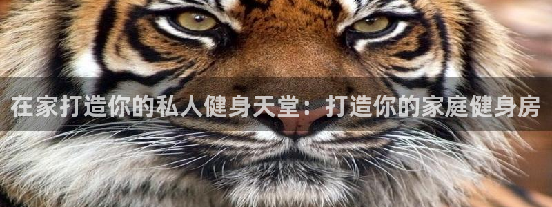 龙8国际app下载