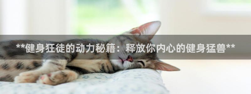 龙8国际网站