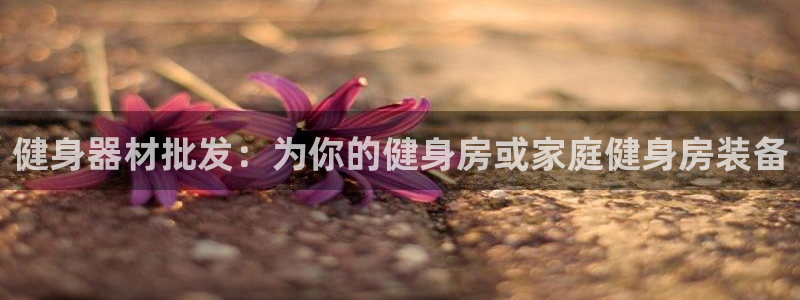 龙8国际2021官方网站pkufli5.10