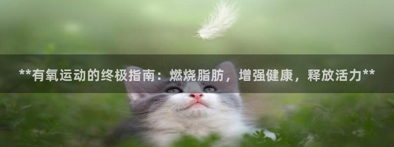 龙8老虎机游戏网站多少