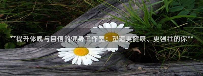 龙8国际老虎机官方