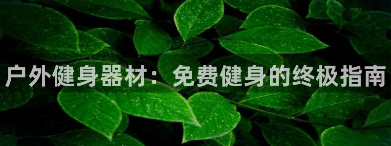 龙八国际官方网站app登录