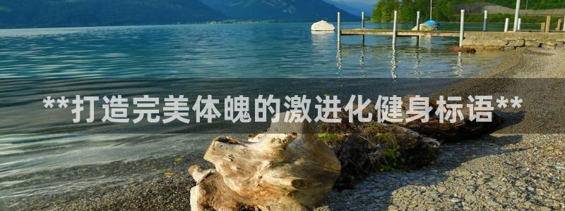龙8国际2020官方网站