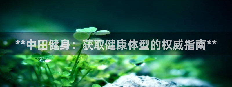 龙8游戏官方网站登录