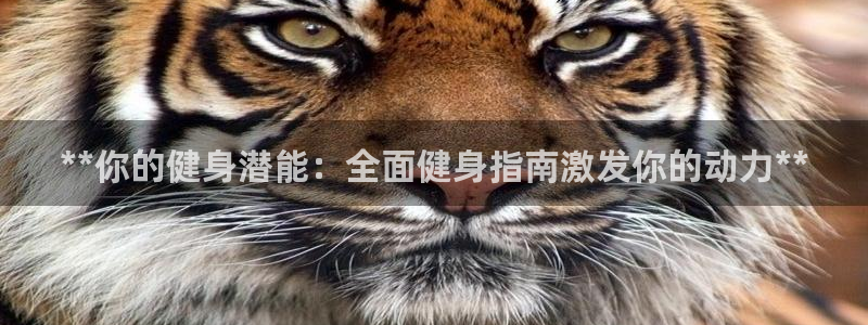龙8国际备用