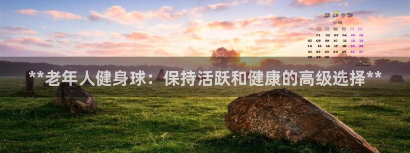 龙 八国际