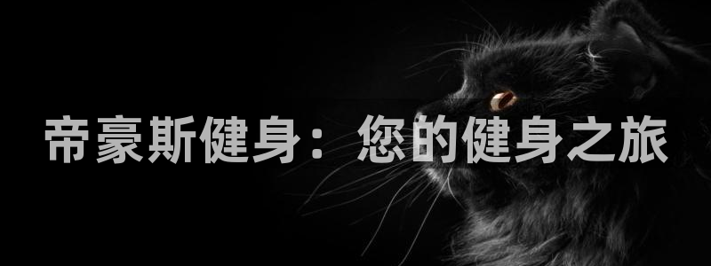 龙8国际的官方网站