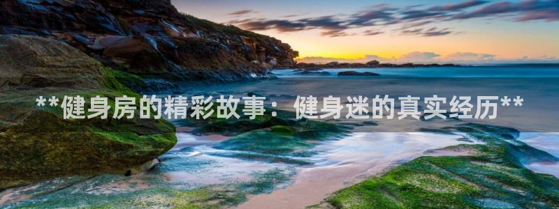 龙8老虎机网络游戏