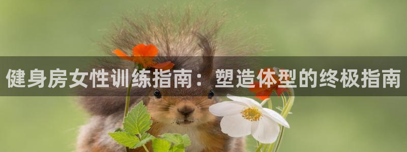 龙8国际登录