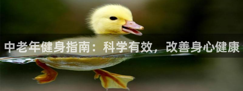 龙8国际平台输了多少