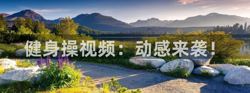 龙8国际app官网下载