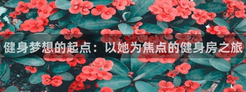 龙8国际app下载安装