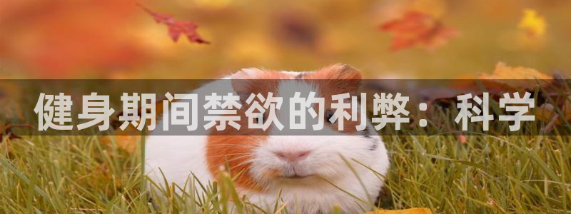 龙8国际免费试玩