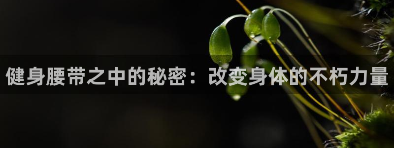龙8-龙国际-long8-龙8游戏