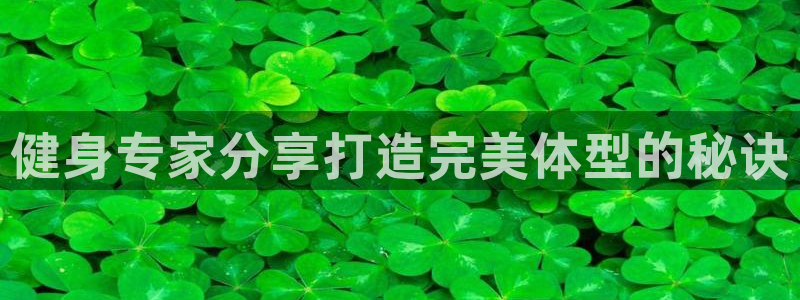 龙8国际app下载客户端