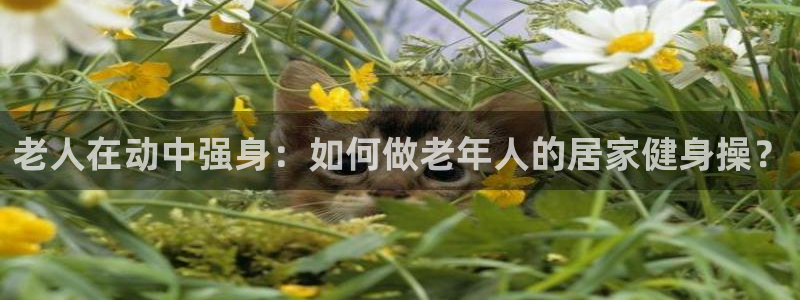 龙8国际手机官网下载安装