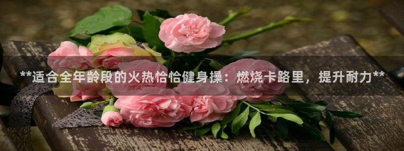 龙8国际游戏娱乐