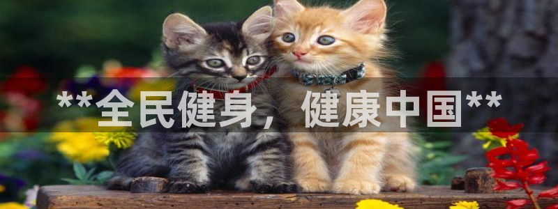 龙八国际pt