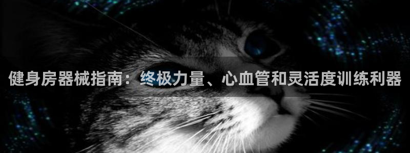 龙8棋牌官网