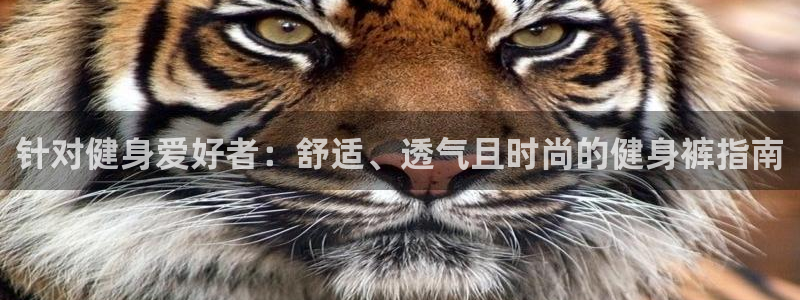 龙8国际官网老虎机