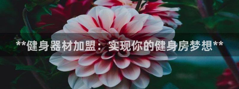 国际龙8官网pt客户端下载