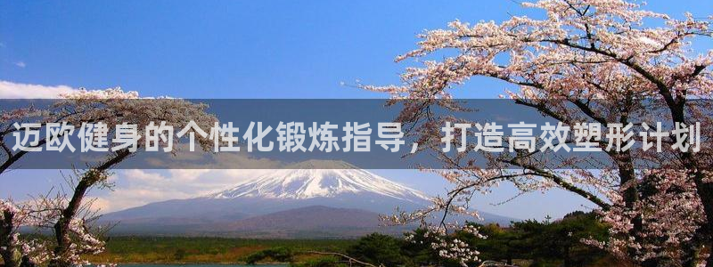 龙8国际现金