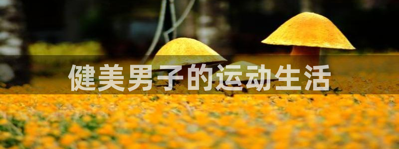 龙8国际2021官方网站pkufli5.10