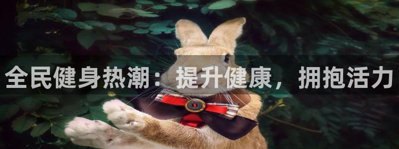 龙八国际城