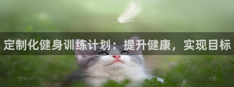 龙八国际app客户端下载不了
