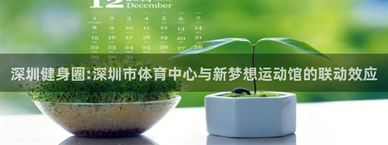 龙8国际官网版玩法