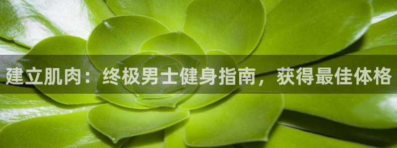 龙8国际游戏公司官网